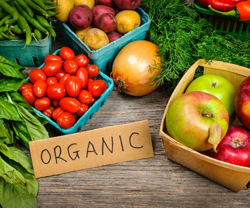 organic Fertilizer (1)s